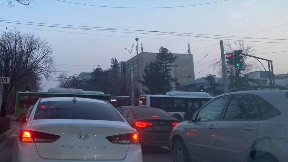 Горожанин просит нанести вафельную разметку на Чуй—Ибраимова