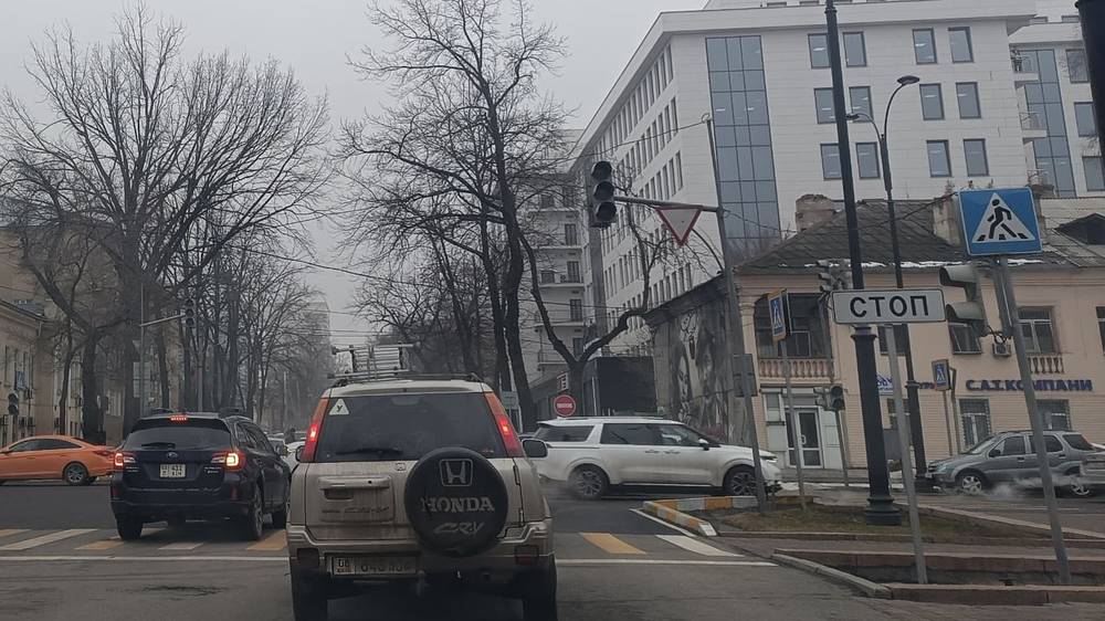 На Чуй—Панфилова не работает светофор. Фото горожанина