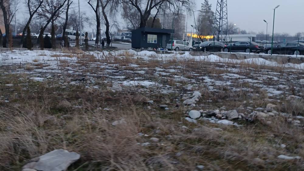 Можно ли сделать сквер из треугольника возле «Азии Молл»? Ответ мэрии