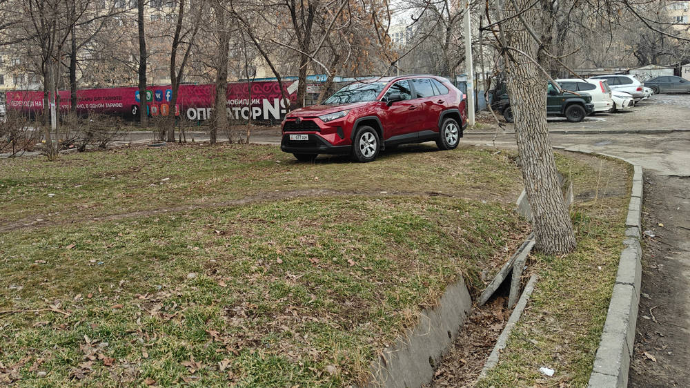 Зеленую зону на Юг-2 стали превращать в парковку. Фото