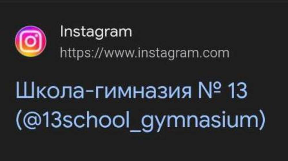 Горожанин предлагает, чтобы у каждой школы была страничка в Instagram. Ответ мэрии