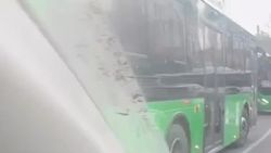 Автобус №216 едет по встречке по полосе для общественного транспорта на Киевской. Видео