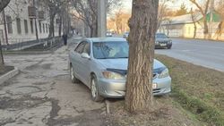 «Камри» со штрафами более 50 тыс. сомов продолжает парковаться на тротуаре и зеленой зоне. Фото горожанина