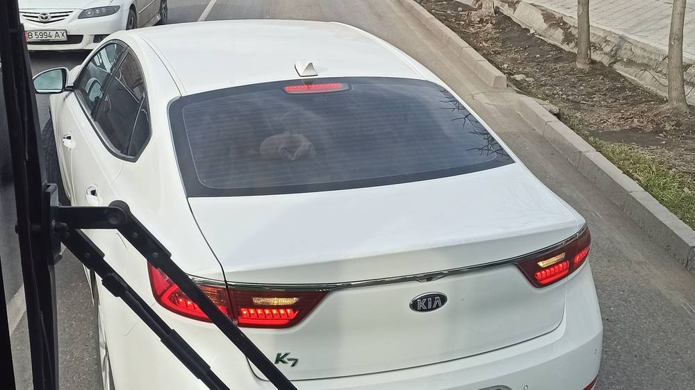 Когда найдут водителя «Киа К7», который заблокировал автобус на полосе для общественного транспорта? - горожанина