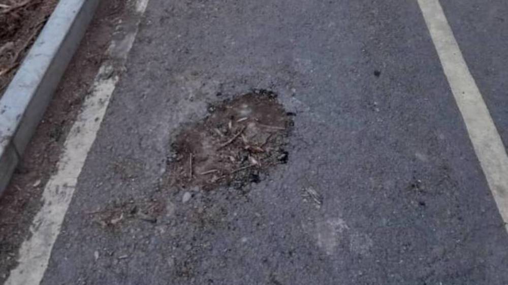 Велодорожка на Айтматова вся в дырах после вырубки тополей. Фото горожанина