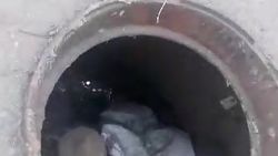 Жители Московского района жалуются на открытый люк на тротуаре. Видео