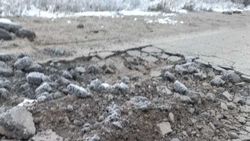 Покажите это акиму. Водитель жалуется на состояние дороги. Видео
