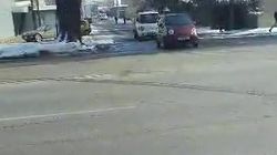 Горожанин просит нанести зебру на Махатма Ганди. Видео