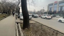 Муниципальная инспекция не обнаружила припаркованные в зеленой зоне авто на Льва Толстого