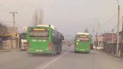 Один автобус обгоняет другой по встречке. Видео