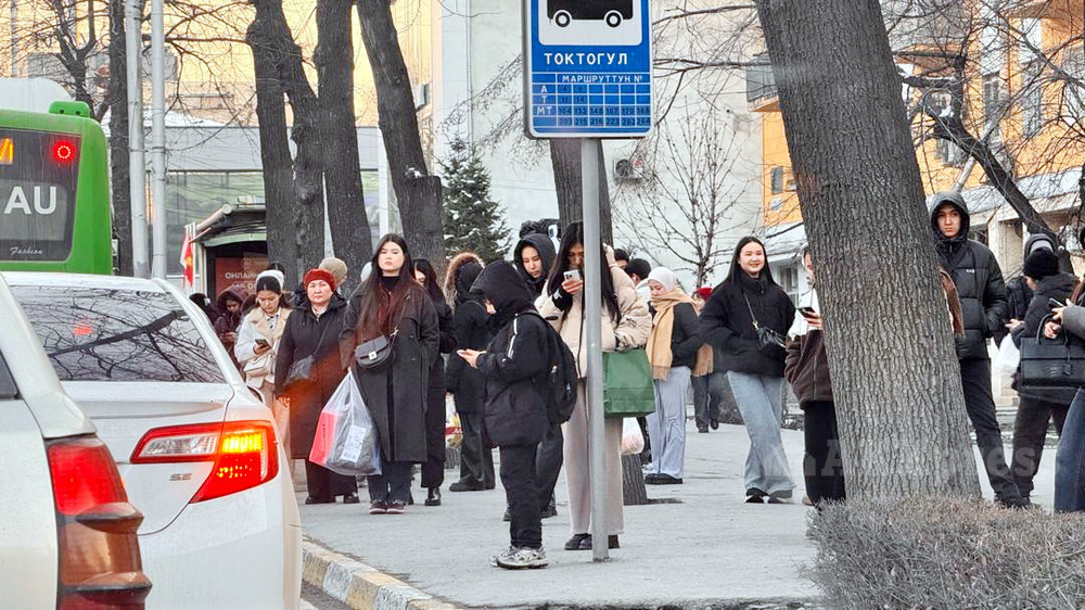 Иллюстративное фото