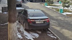 На территории больницы «Камри» стоит в зеленой зоне. Фото