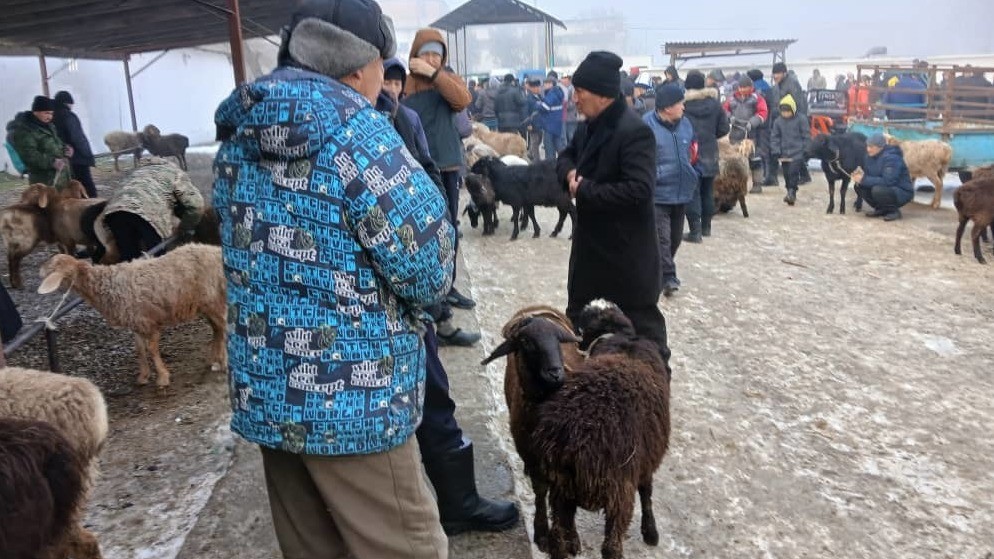 Иллюстрациялык сүрөт