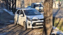 Одного убрали, другой поставил: Водители продолжают парковаться на тротуаре и зеленой зоне на Льва Толстого. Фото
