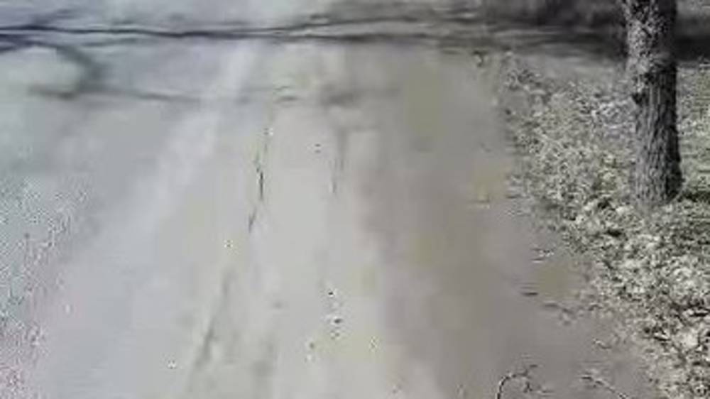 Грязь на обочине по ул.Алтымышева. Видео горожанина