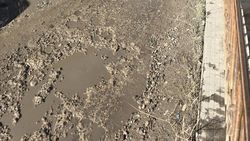 Дорога в Геологическом переулке в ужасном состоянии. Фото горожанина