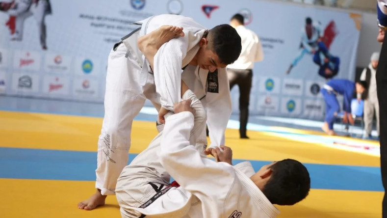 Иллюстрациялык сүрөт