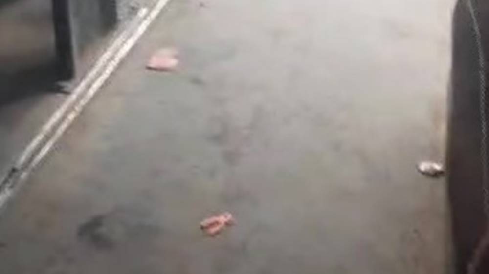 Житель Оша жалуется на грязь в салоне маршрутке №119. Видео