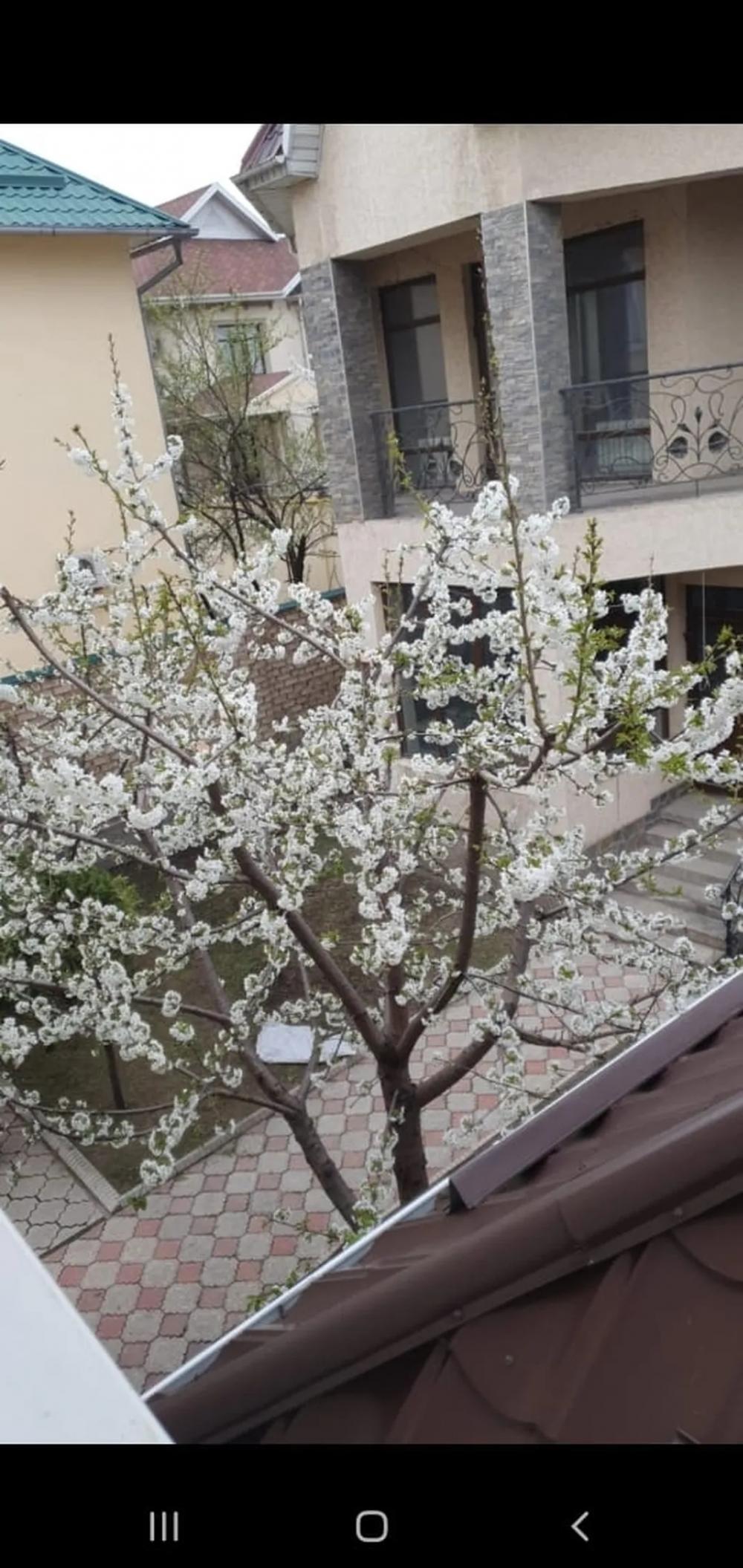 Продаю дом 10-ком. 400кв. м., этаж-2, 7-сот., стена кирпич, р-н Джал.