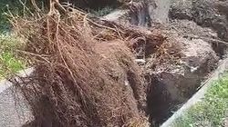 Работники водоканала после чистки канализации оставили мусор. Видео горожанина