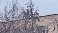 Школьники играют на крыше бывшего детсада на улице Гоголя и бьют окна, - бишкекчанин