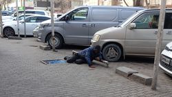 Горожанин жалуется на бездомных возле магазина на Токтогула. Фото
