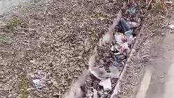 Арык в Кызыл-Аскере забит мусором. Видео