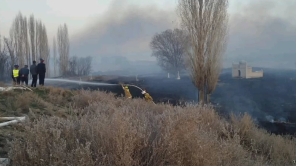 Токойдон чыккан өрт