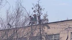 Школьники играют на крыше бывшего детсада на улице Гоголя и бьют окна. Ответ мэрии