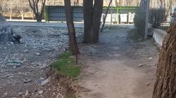Горожанин просит огородить участок на Токомбаева. Фото