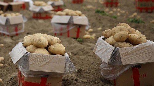 прогноз цен