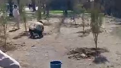 В зеленой зоне в 8 мкр, которую превратили в футбольное поле, посадили туи. Видео мэрии