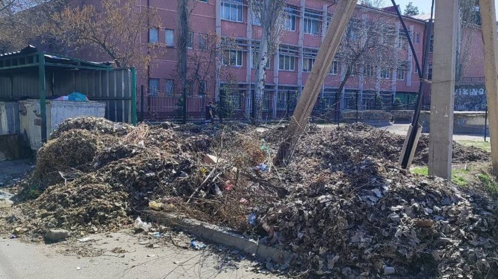 «Тазалык» убрал мусор возле школы в Аламедине-1 после жалобы горожанина