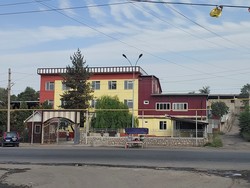 Эдельвейс сапат