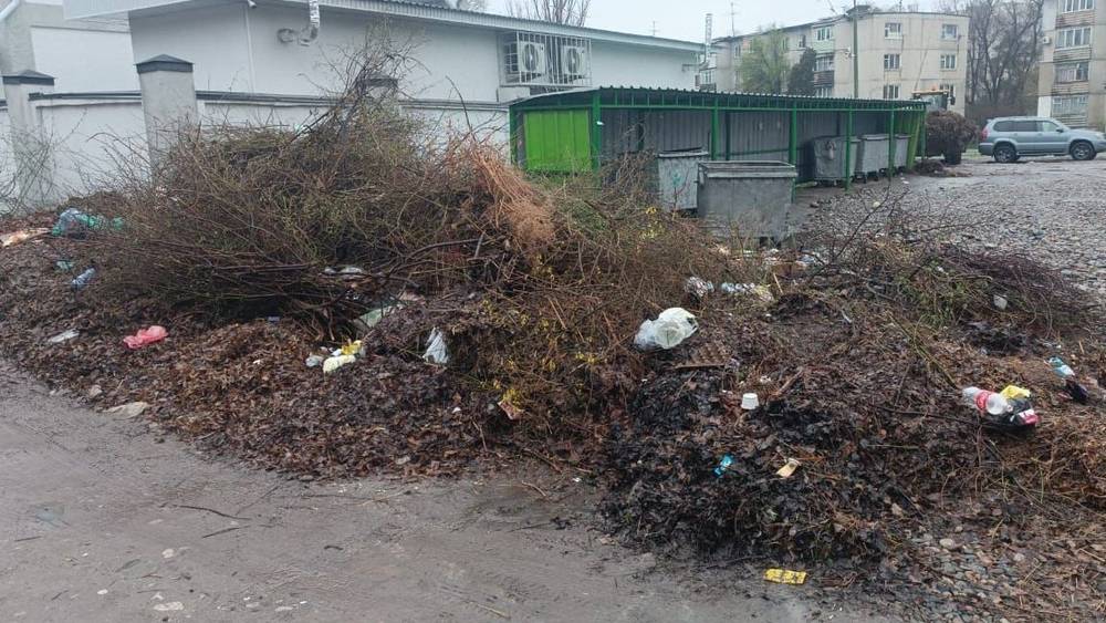«Тазалык» вывез мусор в 4 мкр. Фото мэрии