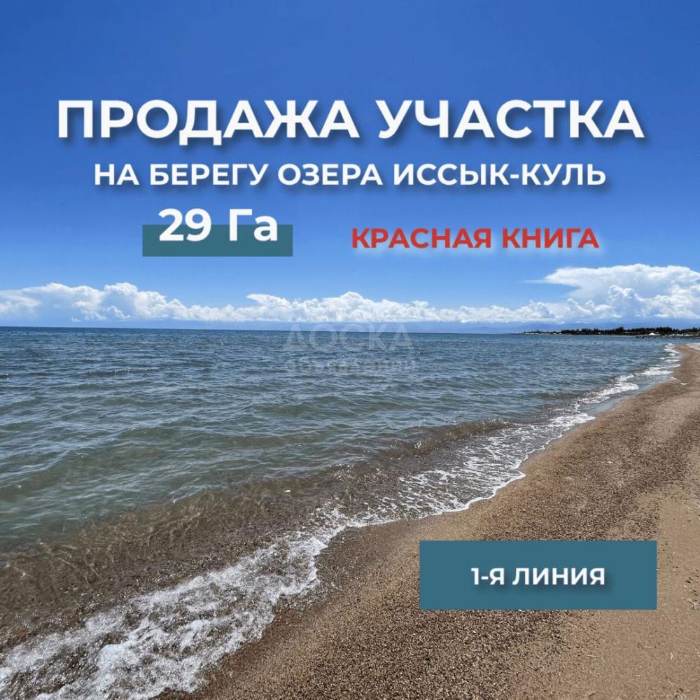 Продаю участок под строительство, 29, 22 га Балыкчы .
