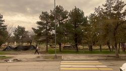 Забор ботанического сада на улице Ахунбаева демонтировали. Видео