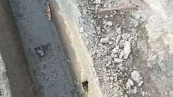 Новый тротуар и арычные лотки на Ахунбаева начали рассыпаться. Видео горожанина