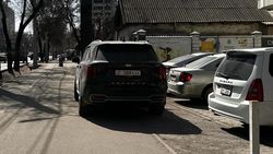 «Киа Соренто» стоит на тротуаре по Советской. Фото горожанина