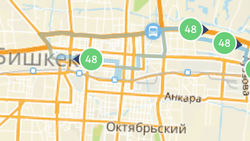 Почему автобус №49 рано останавливается? - горожанин