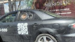 Водитель «Мазды» установил динамики в окно. Фото