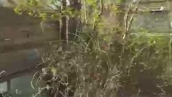 Законно ли в Свердловском районе что-то строят у подводящего канала? Видео горожанина