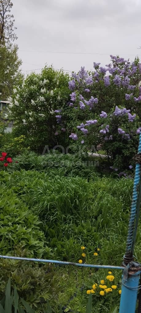 Продаю участок под строительство, 5 соток Чон Арык.