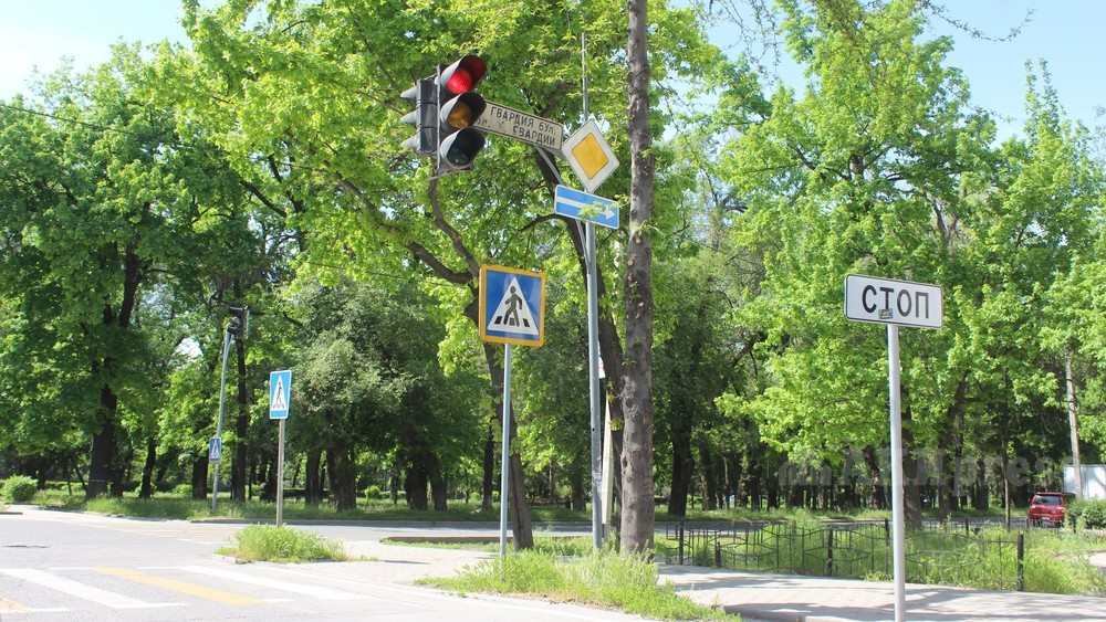 Иллюстративное фото