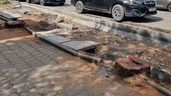 Возле остановки на Московской спилили несколько деревьев. Видео горожанки