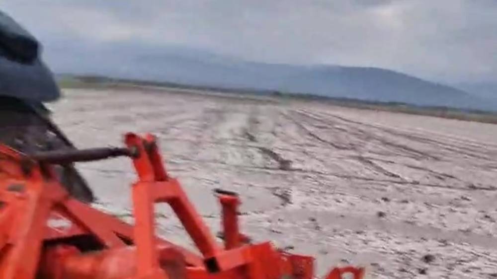 Целое «поле града» в Новопокровке. Видео