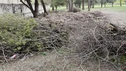 Территория парка имени Ататюрка в плачевном состоянии. Видео