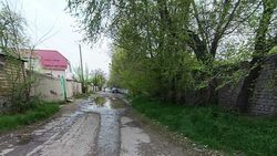 Горожанин просит заасфальтировать дорогу по ул.Асановой. Фото