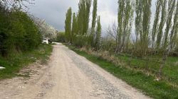 В Верхнем Ороке вторую неделю не убирают мусор. Фото жителя