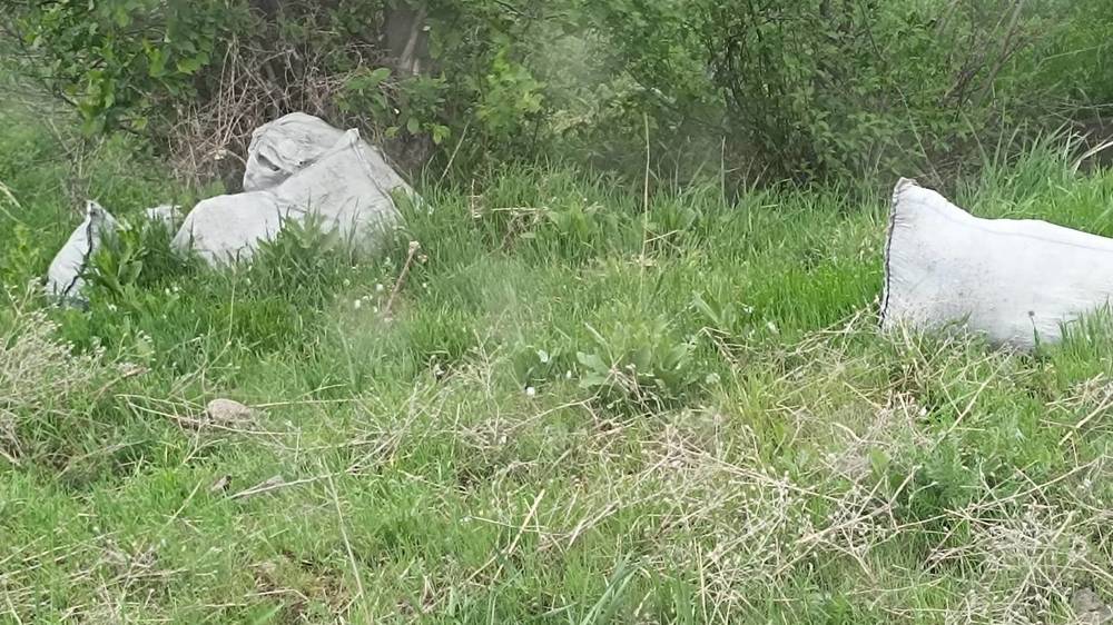Ул.Сухэ-Батора продолжает обрастать мусором. Фото